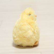 ひよこコサージュ