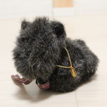 グレーテリアコサージュ