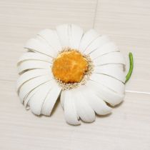 白雛菊コサージュ