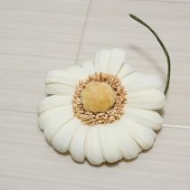 白雛菊コサージュ