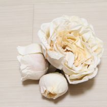 白薔薇コサージュ