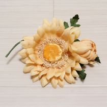 クリーム菊コサージュ