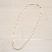 ロングパールネックレス