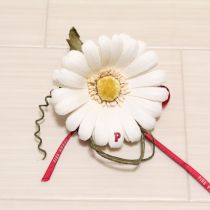 白リボン付き雛菊コサージュ