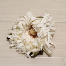 白菊コサージュ