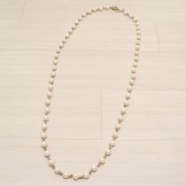 パール×チェーンネックレス